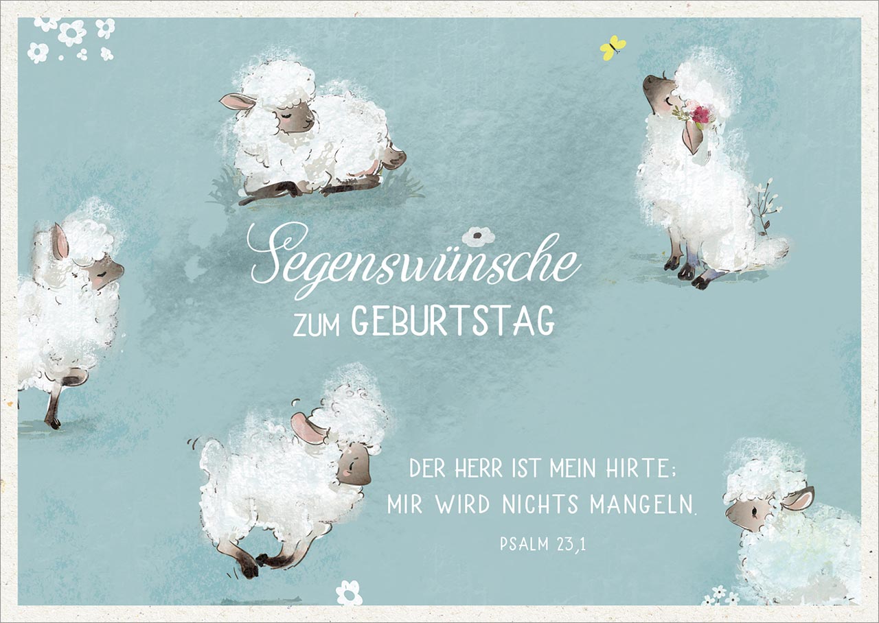 Postkarten - Postkarte 'Segenswünsche zum  Geburtstag' 12 Ex. - Schafe
