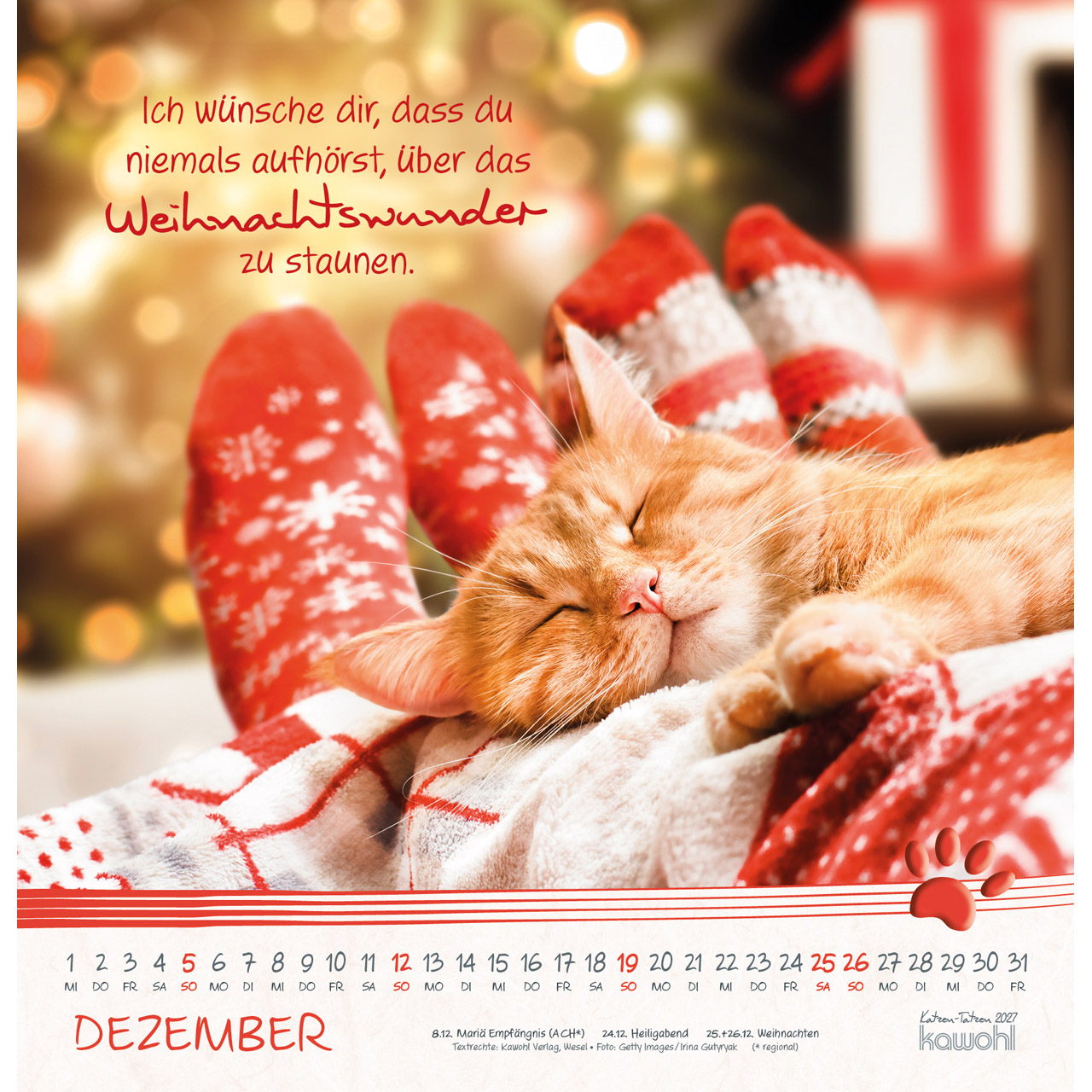 Wandkalender - Katzen-Tatzen 2027