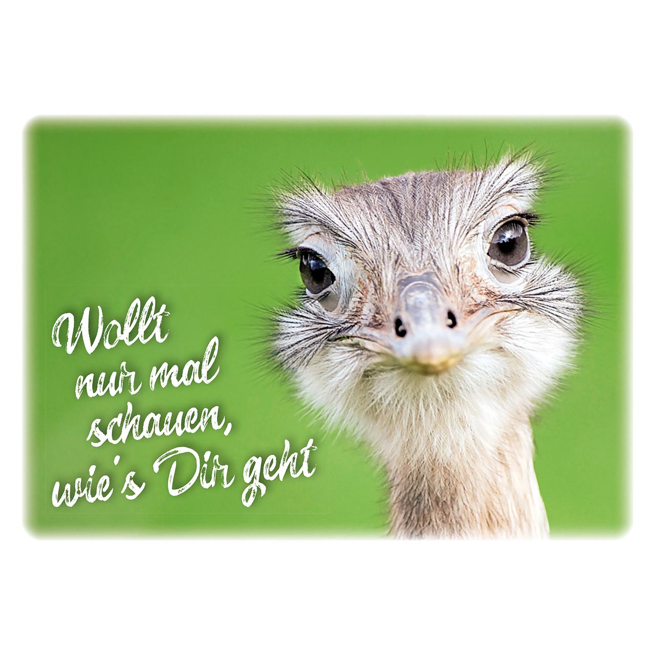 Wollt nur mal schauen, wie's Dir geht