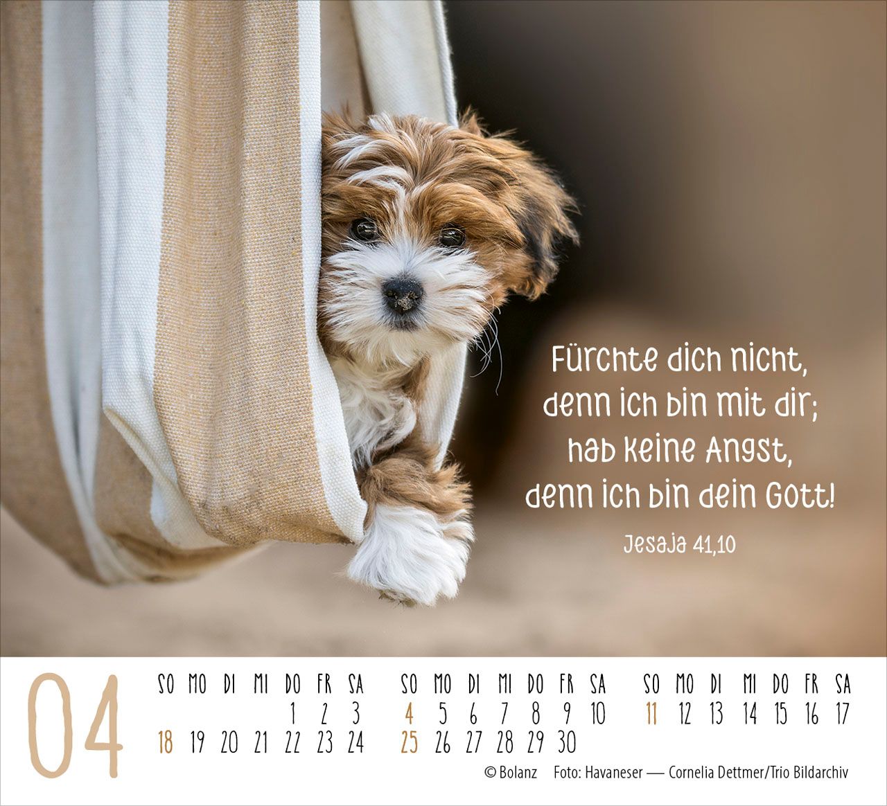 Aufstellkalender - Hunde 2027
