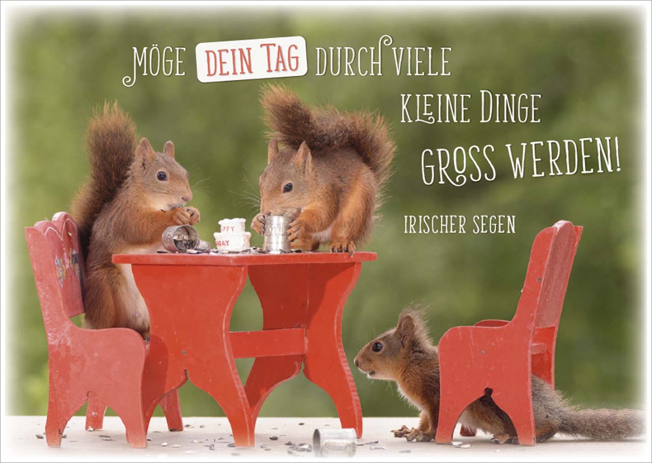 Postkarten - Postkarte 'Möge dein Tag durch viele kleine Dinge groß werden' 12 Ex. - Eichhörnchen Tisch Stühle Geschirr
