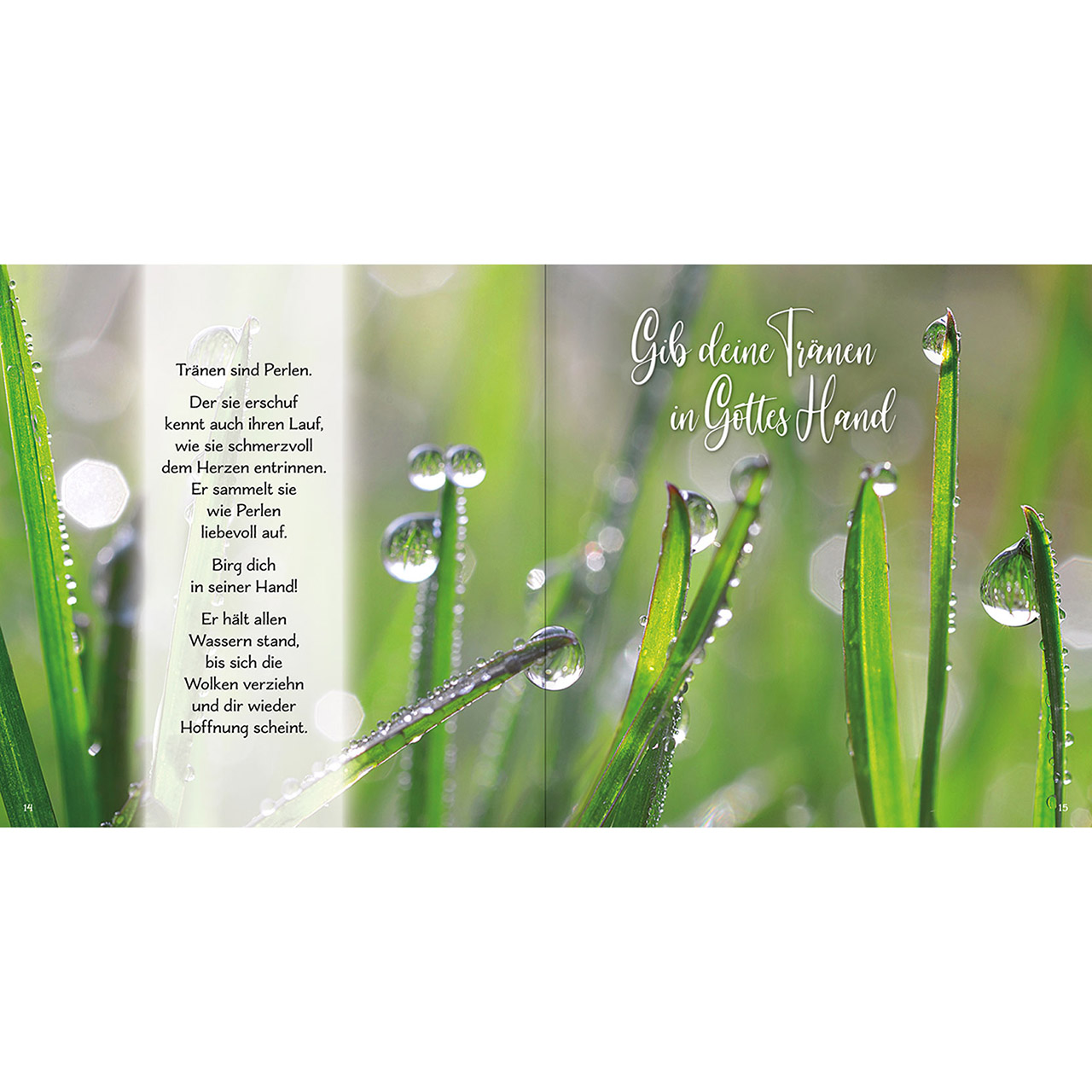 Geschenkbuch - Bist du auch fort, die Liebe bleibt - Laterne Kerze Rose