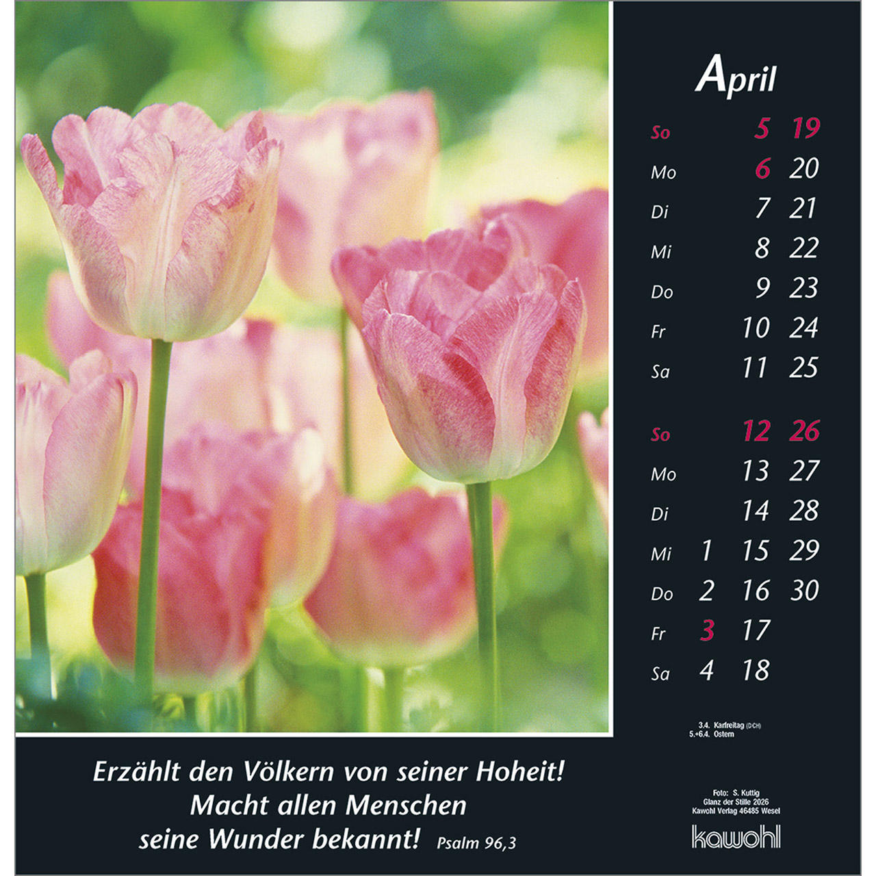 Wandkalender - Glanz der Stille 2026