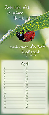 Immerwährender Kalender - Der Herr segne dich und behüte dich - Blüte im See