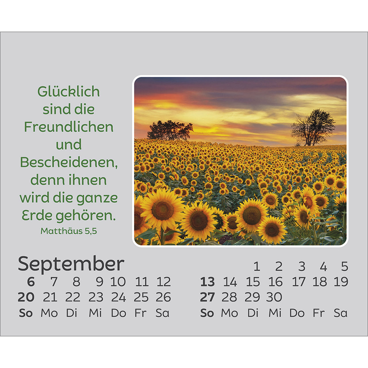 Tischkalender - Freude für jeden Tag 2026