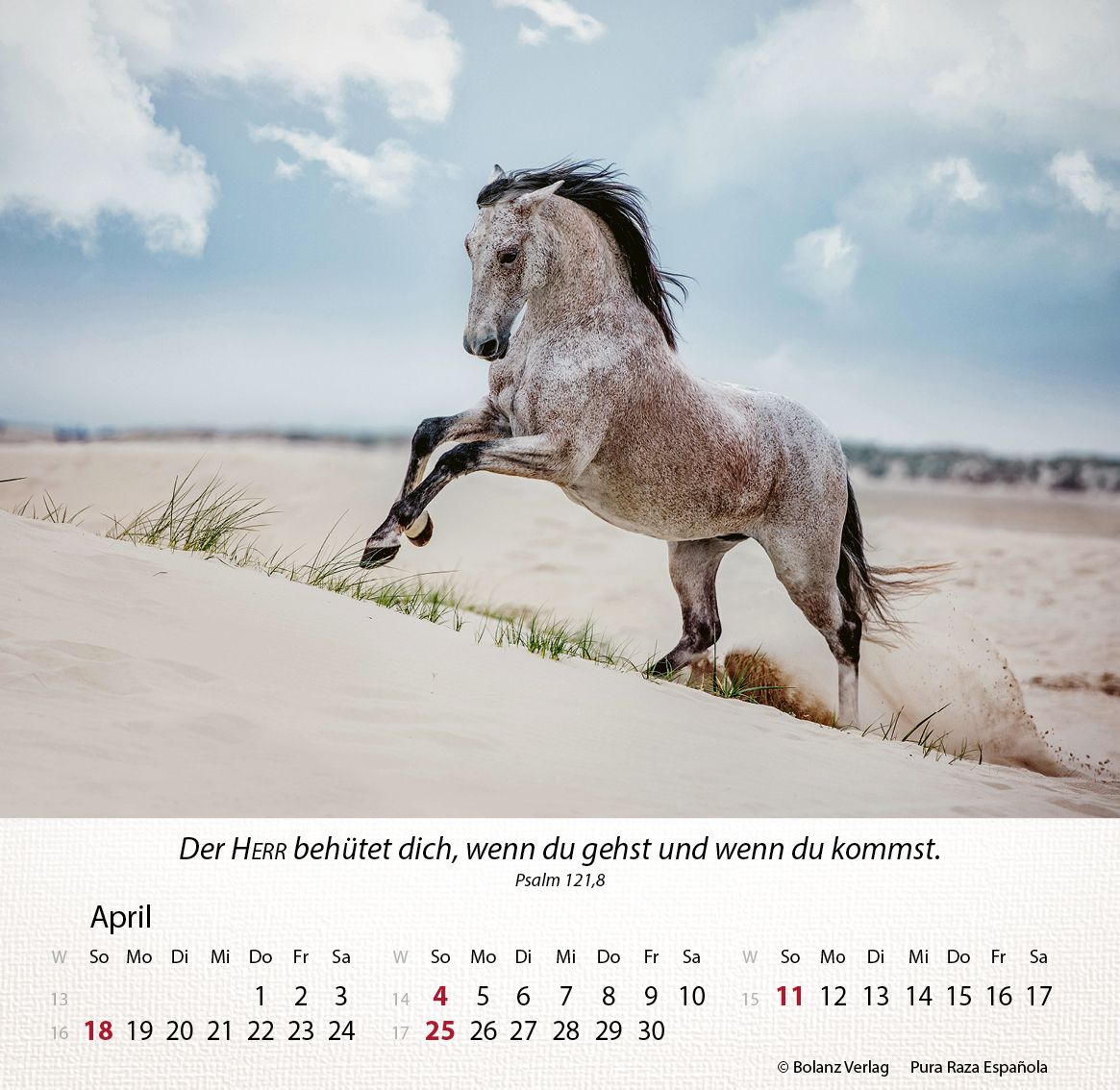 Tischkalender - Pferde 2027 Tischkalender