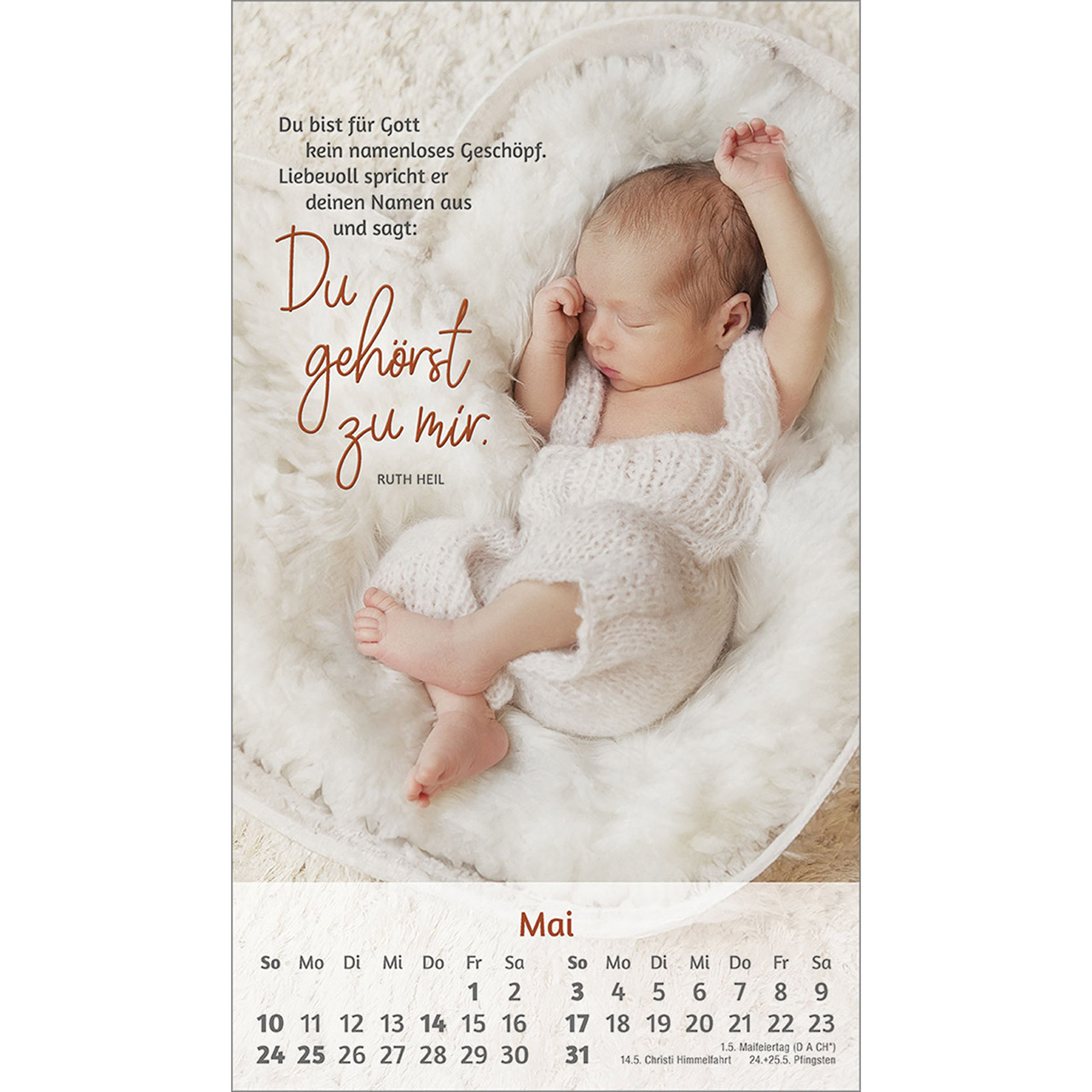 Postkartenkalender - Du bist mir so wertvoll 2026