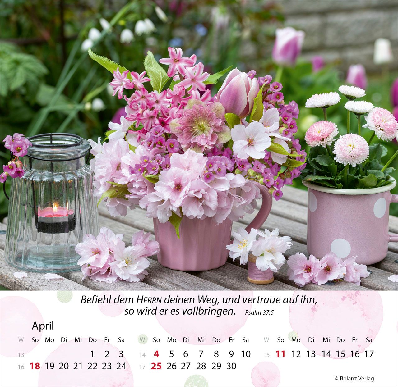 Tischkalender - Gärten 2027 Tischkalender
