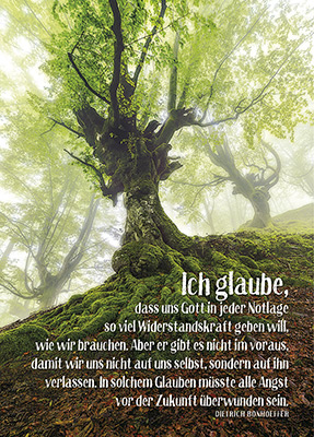 Ich glaube, dass uns Gott ... Poster - Ich glaube, dass uns Gott ... - Baum Moos Nebel