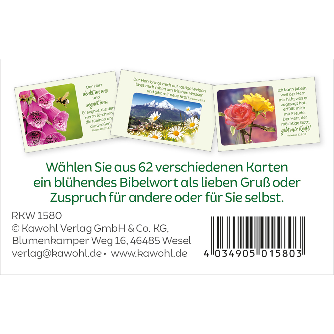 Karten-Box Kunststoff - Blütenreiche Bibelverse - Sonnenblumen