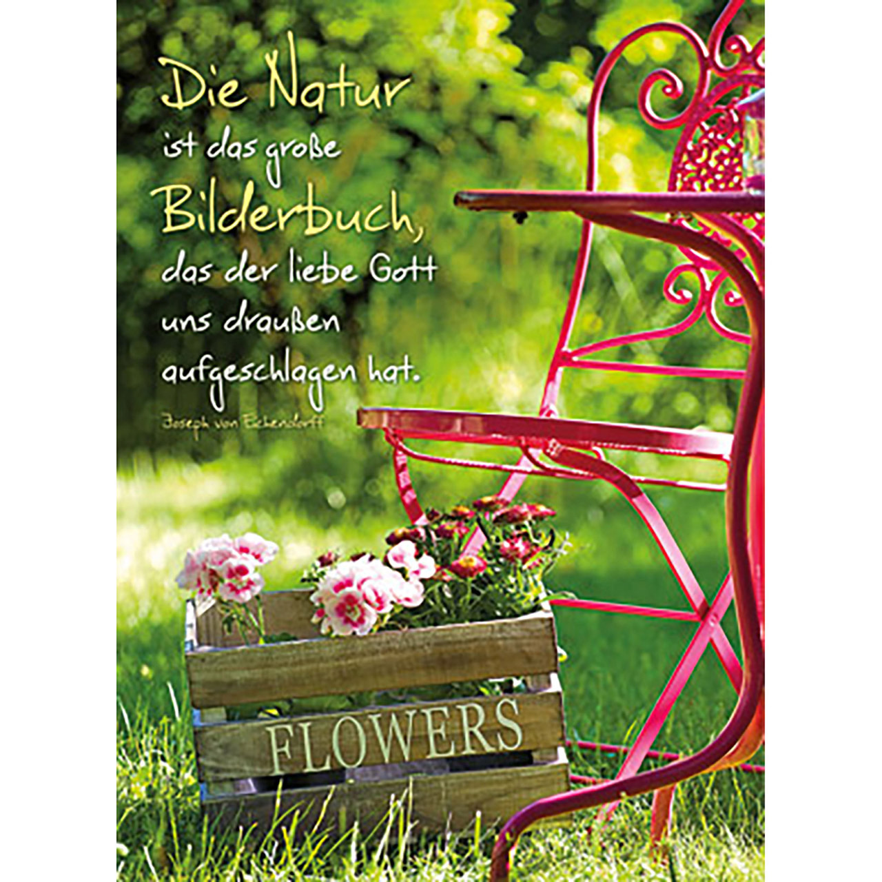 Die Natur Poster - Die Natur - Stuhl Kiste Blumen