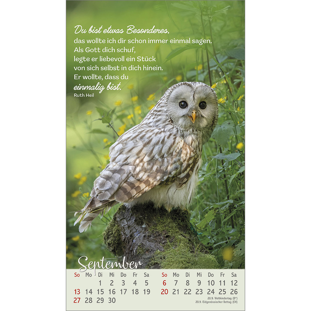 Postkartenkalender - Beflügelt und geborgen 2026