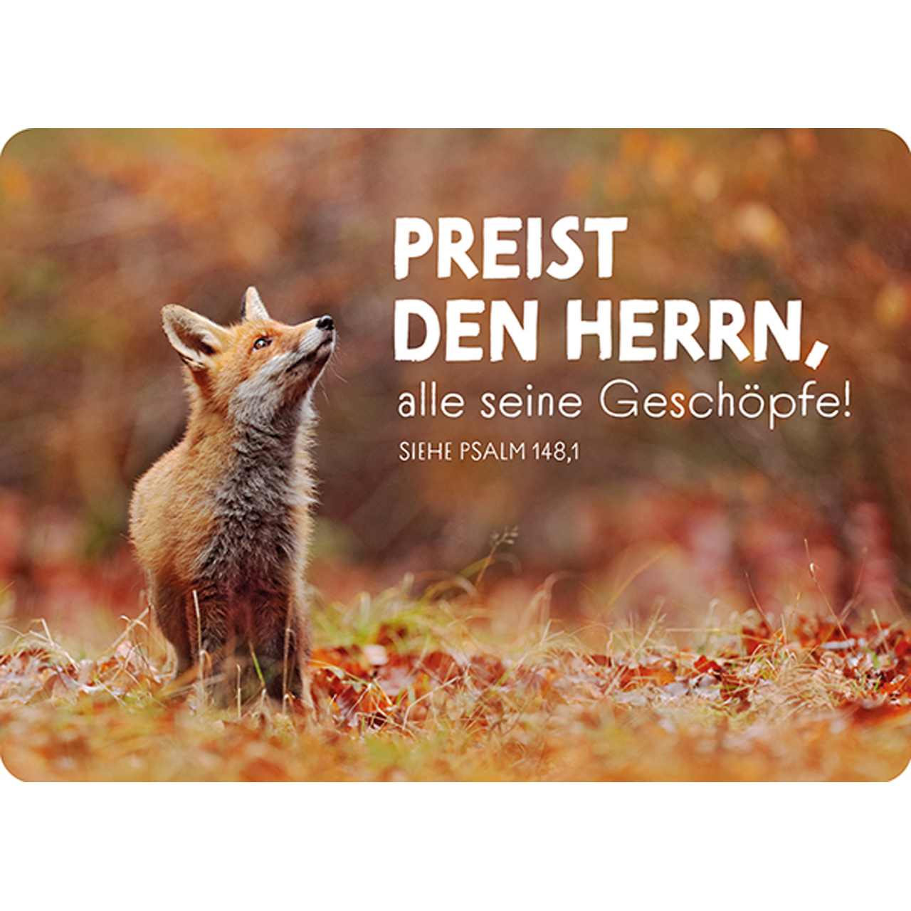 Postkarte - Postkarte 'Preist den HERRN, alle seine Geschöpfe!'                   Siehe Psal