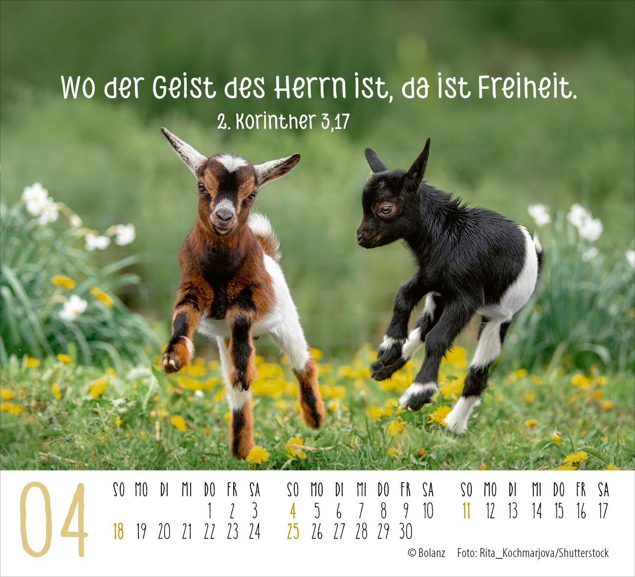 Aufstellkalender - Begegnungen 2027 Minikalender