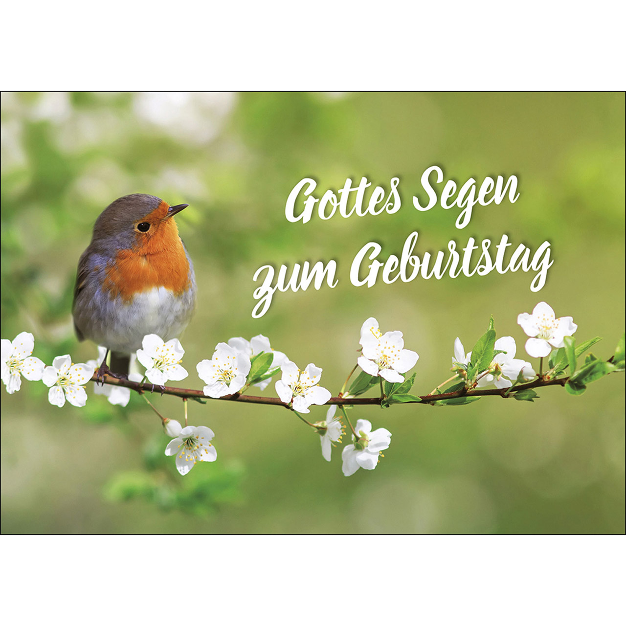 Gottes Segen zum Geburtstag