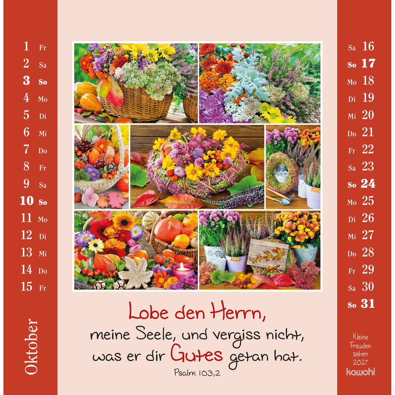Postkartenkalender - Kleine Freuden sehen 2027