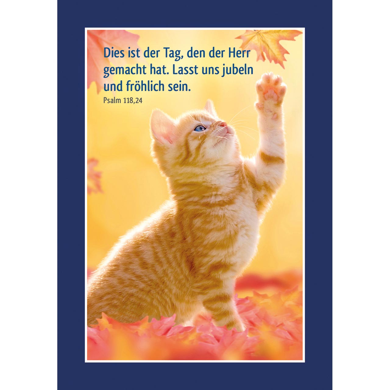 Aufkleberbuch - Tierisch fit! - Hund / Welpe / Tiermotiv