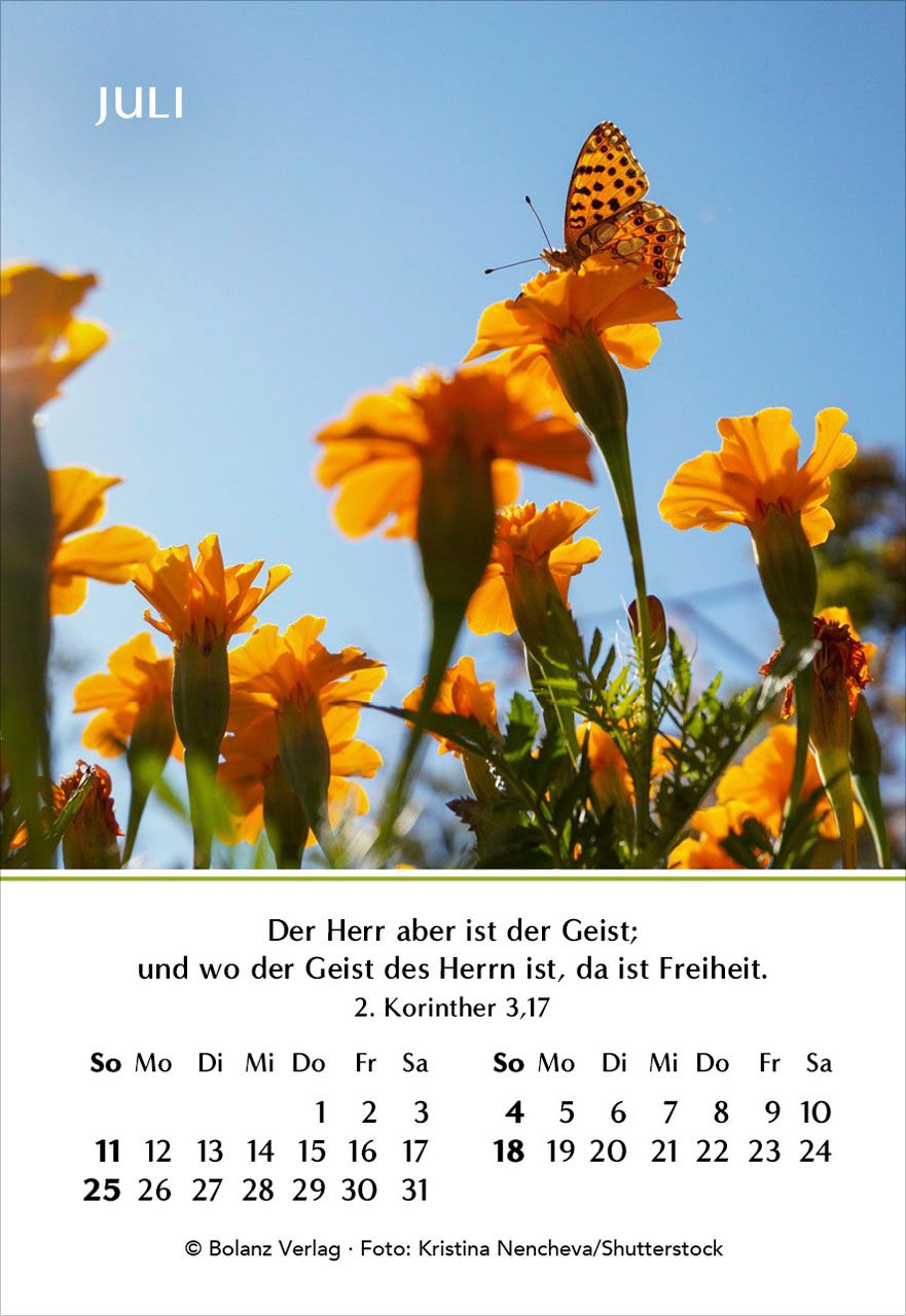 Aufstellkalender - Ein Jahr der Hoffnung 2027