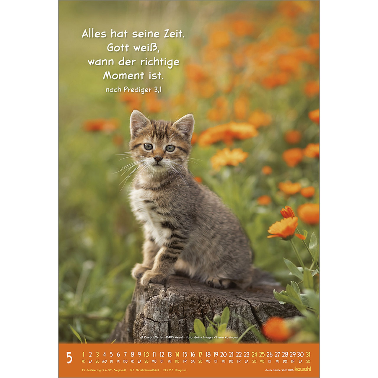 Wandkalender - Meine kleine Welt 2026