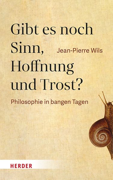 Buch - Gibt es noch Sinn, Hoffnung und Trost?