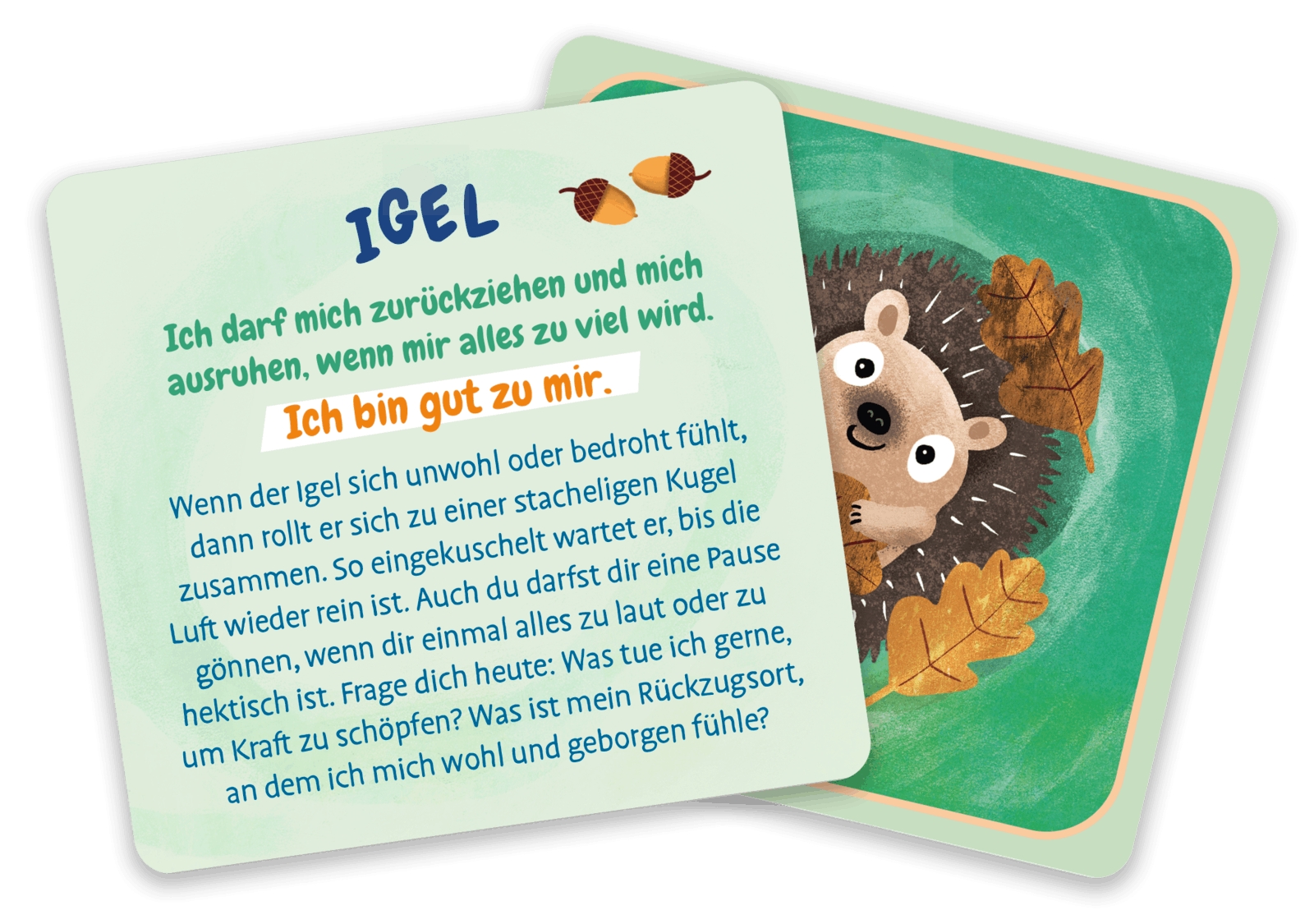 Karten-Box - Meine Mutmach-Tiere