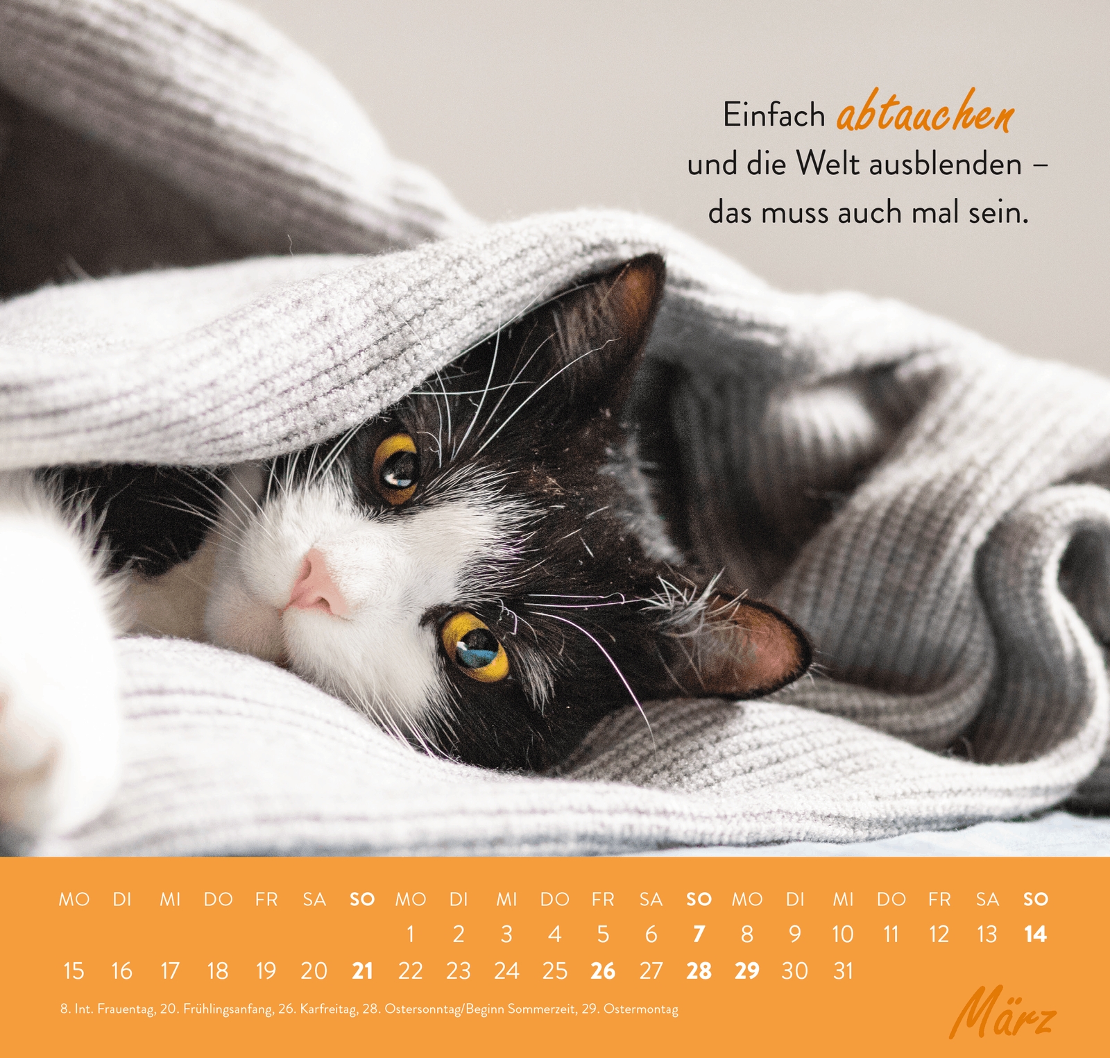 Wandkalender - Einfach mal abhängen 2027 - Katze