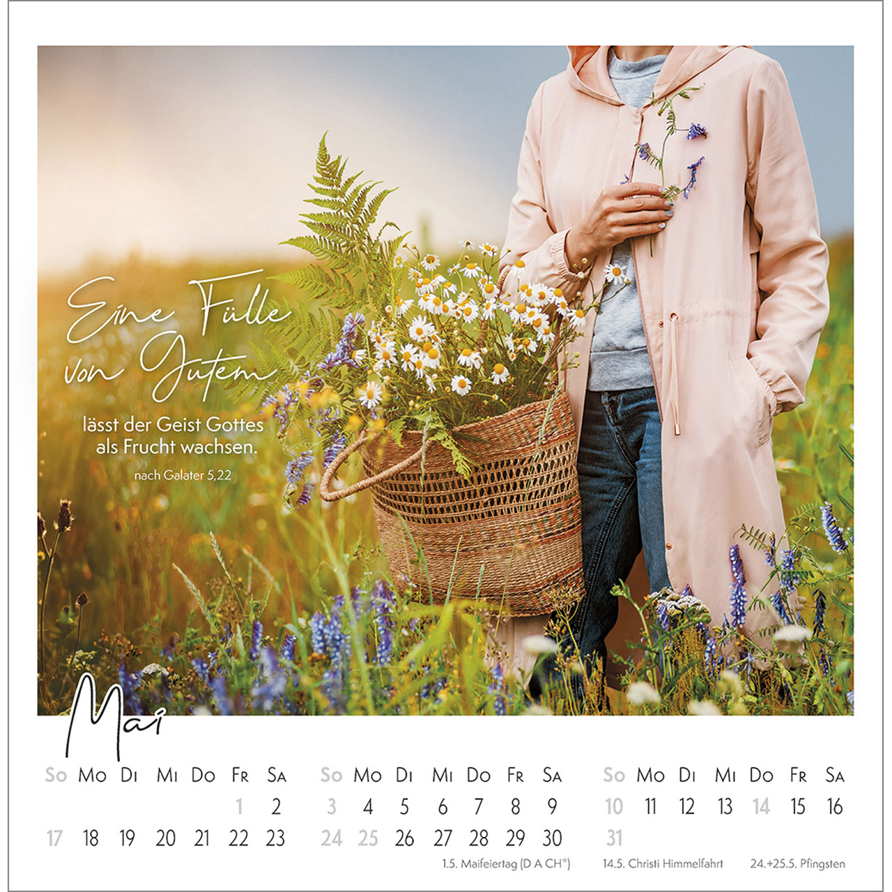 Postkartenkalender - Kleine Auszeit im Grünen 2026