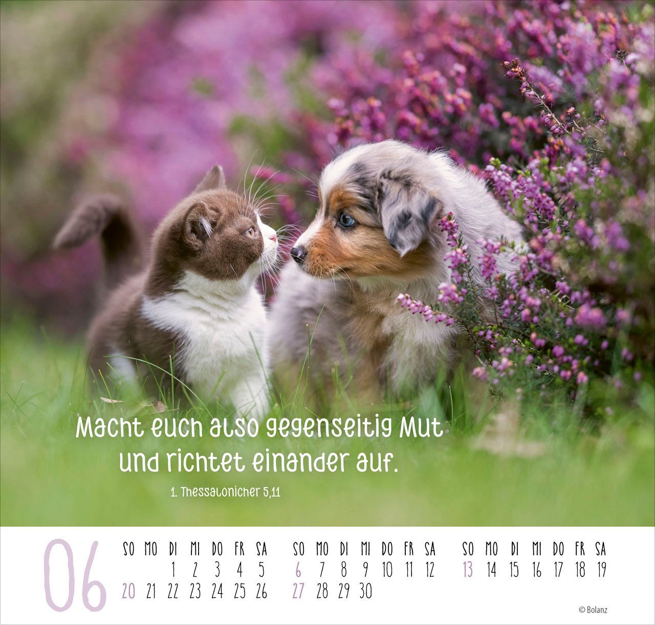 Posterkalender - Beste Freunde 2027