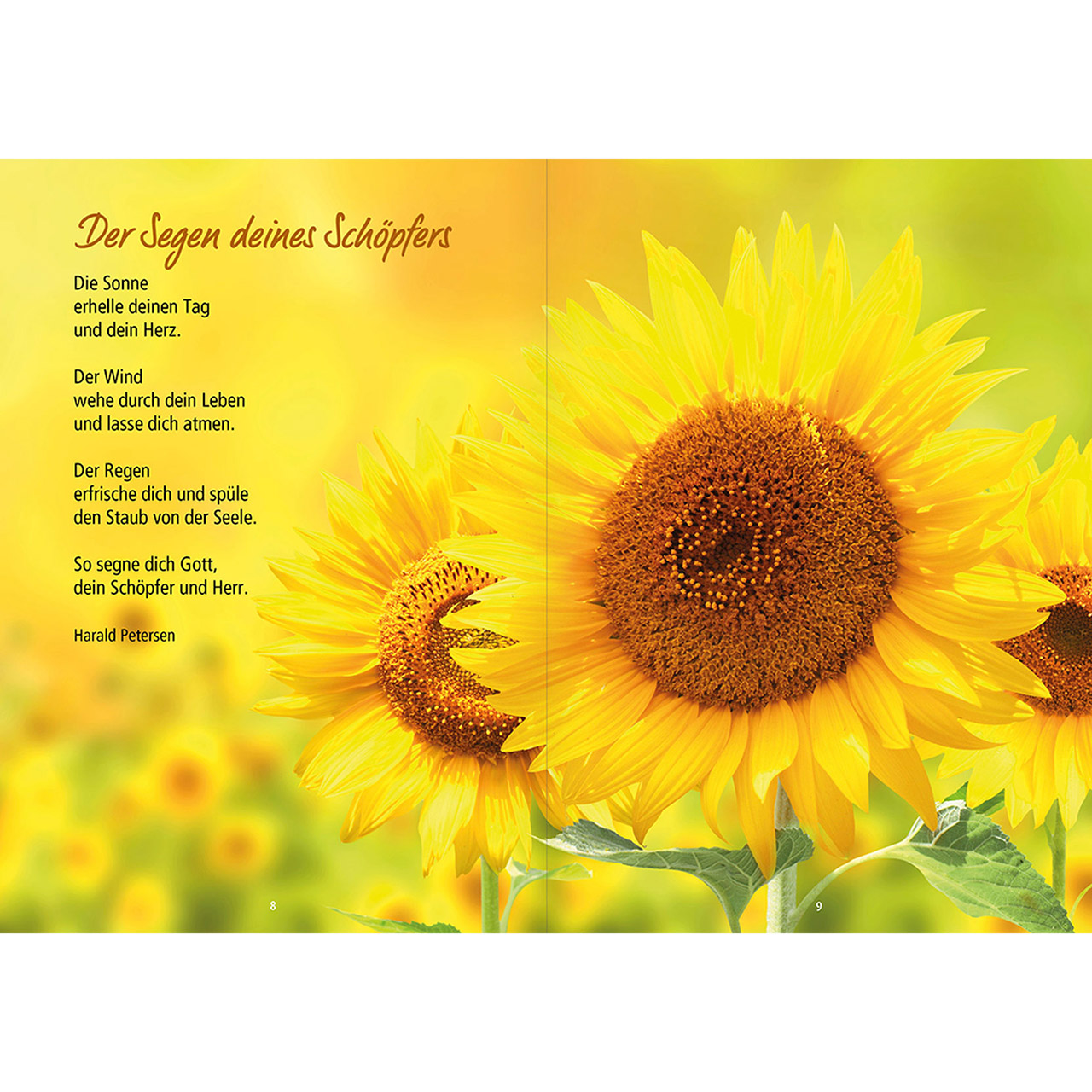 Grußheft - Ich wünsche mir für dich ... - Schmetterling Blume