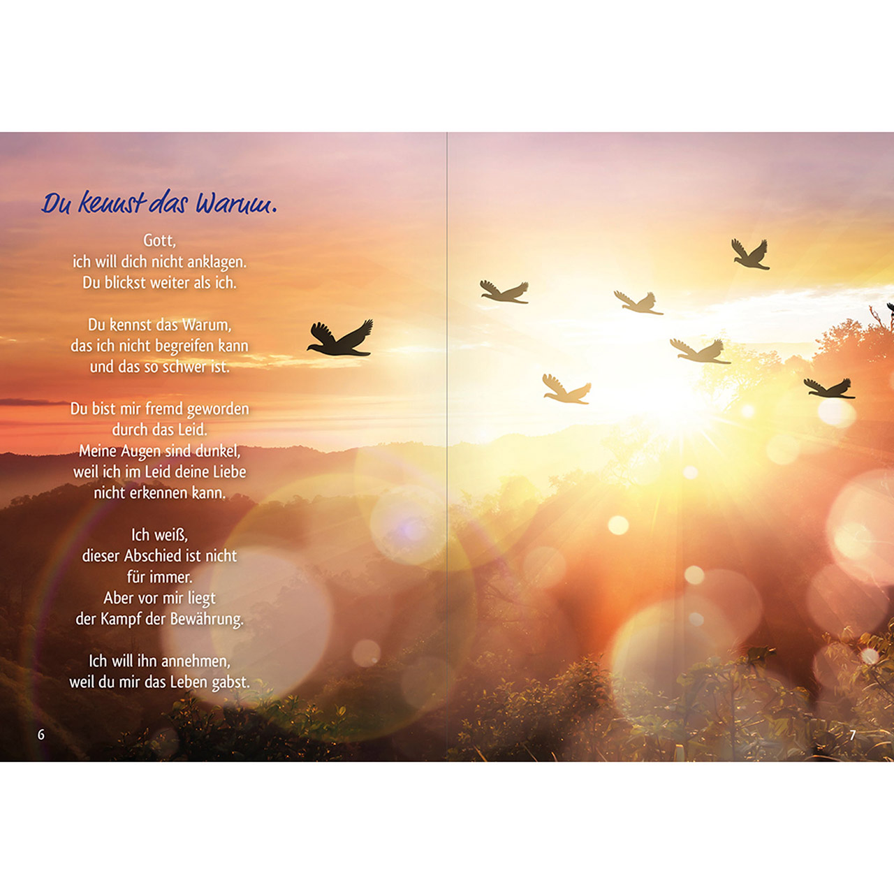 Grußheft - Trost für dich - Rose