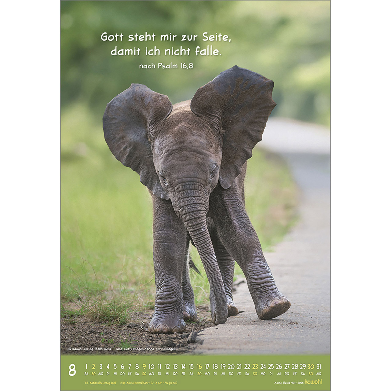 Wandkalender - Meine kleine Welt 2026