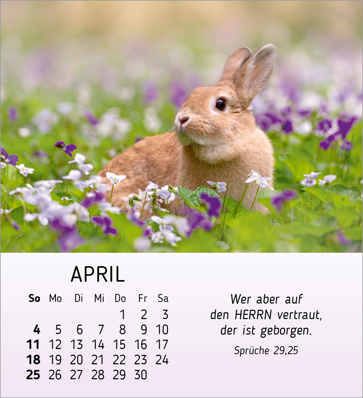 Tischkalender - Meine kleinen Freunde 2027