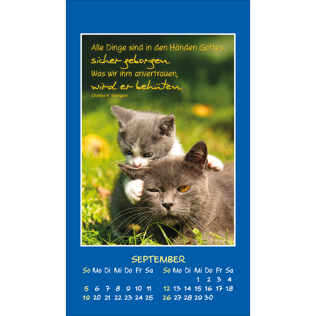 Aufkleberkalender - Mini Katzen-Tatzen 2027 - Katzen
