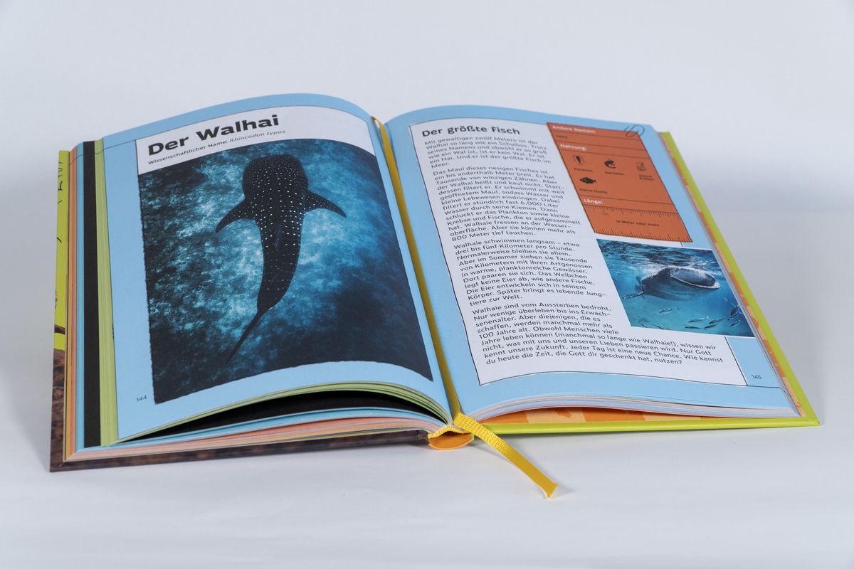 Buch - Tierisch gute Momente mit Gott