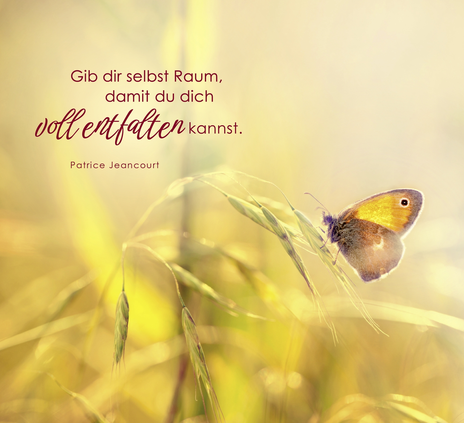 Aufstellbuch - Motivierende Gedanken für jeden Tag