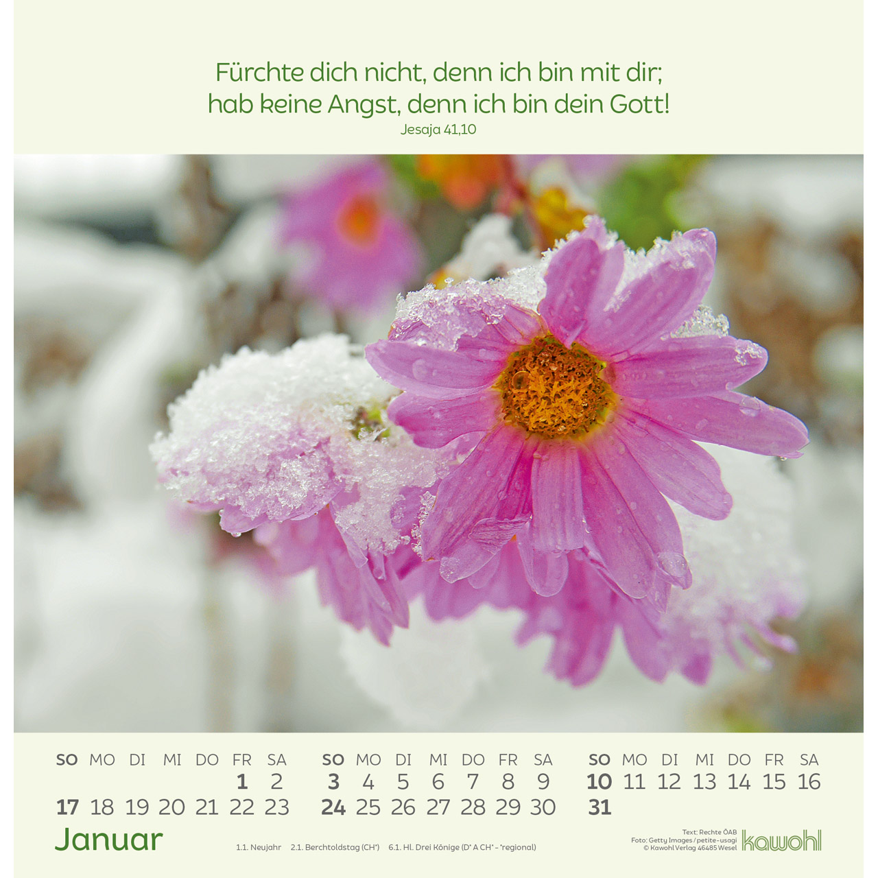 Wandkalender - Blumengrüße 2027