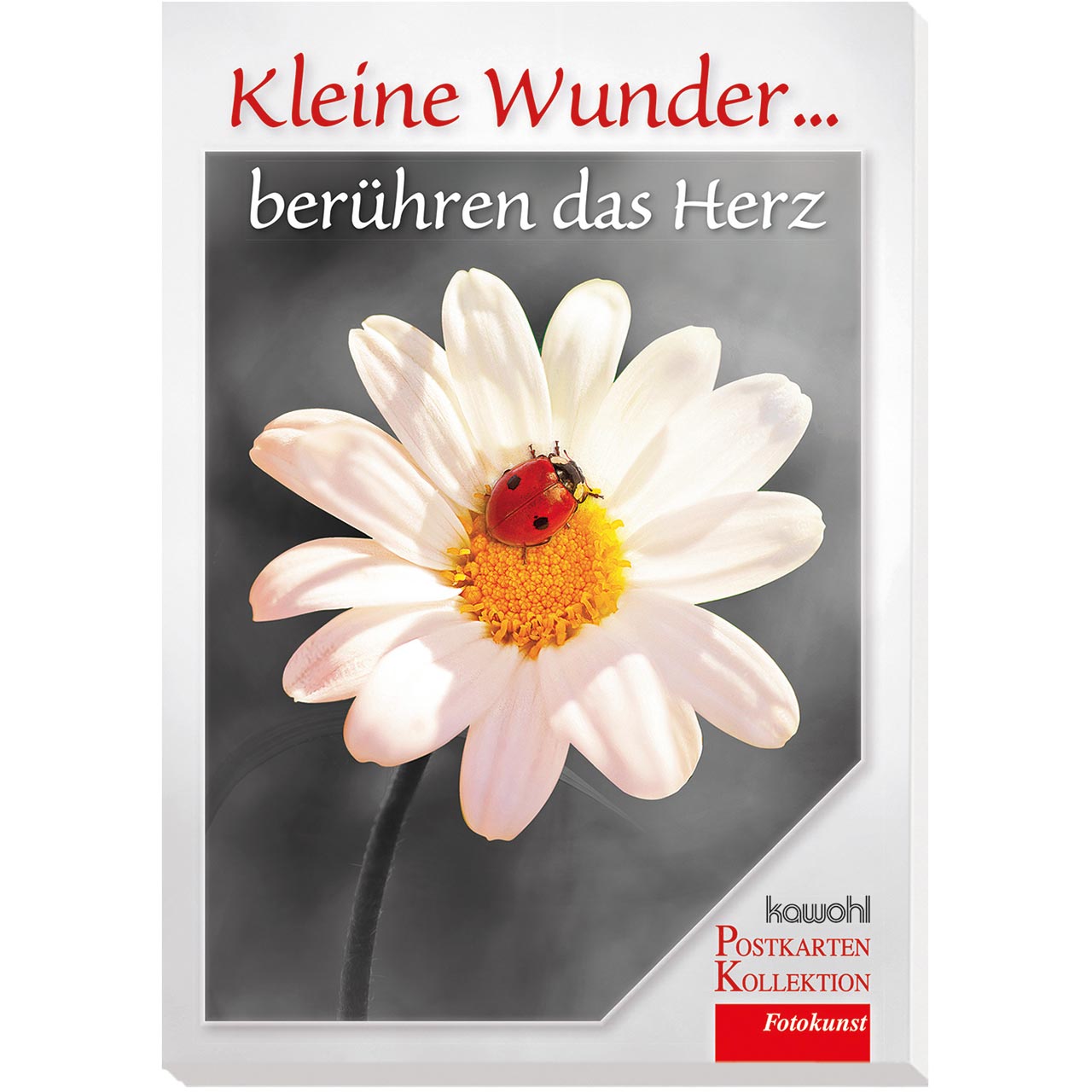 Kleine Wunder berühren das Herz