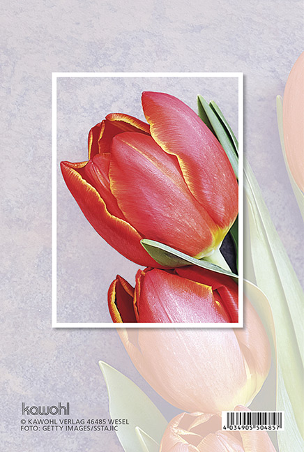 Faltkarte - Lobe den Herrn - rote Tulpen