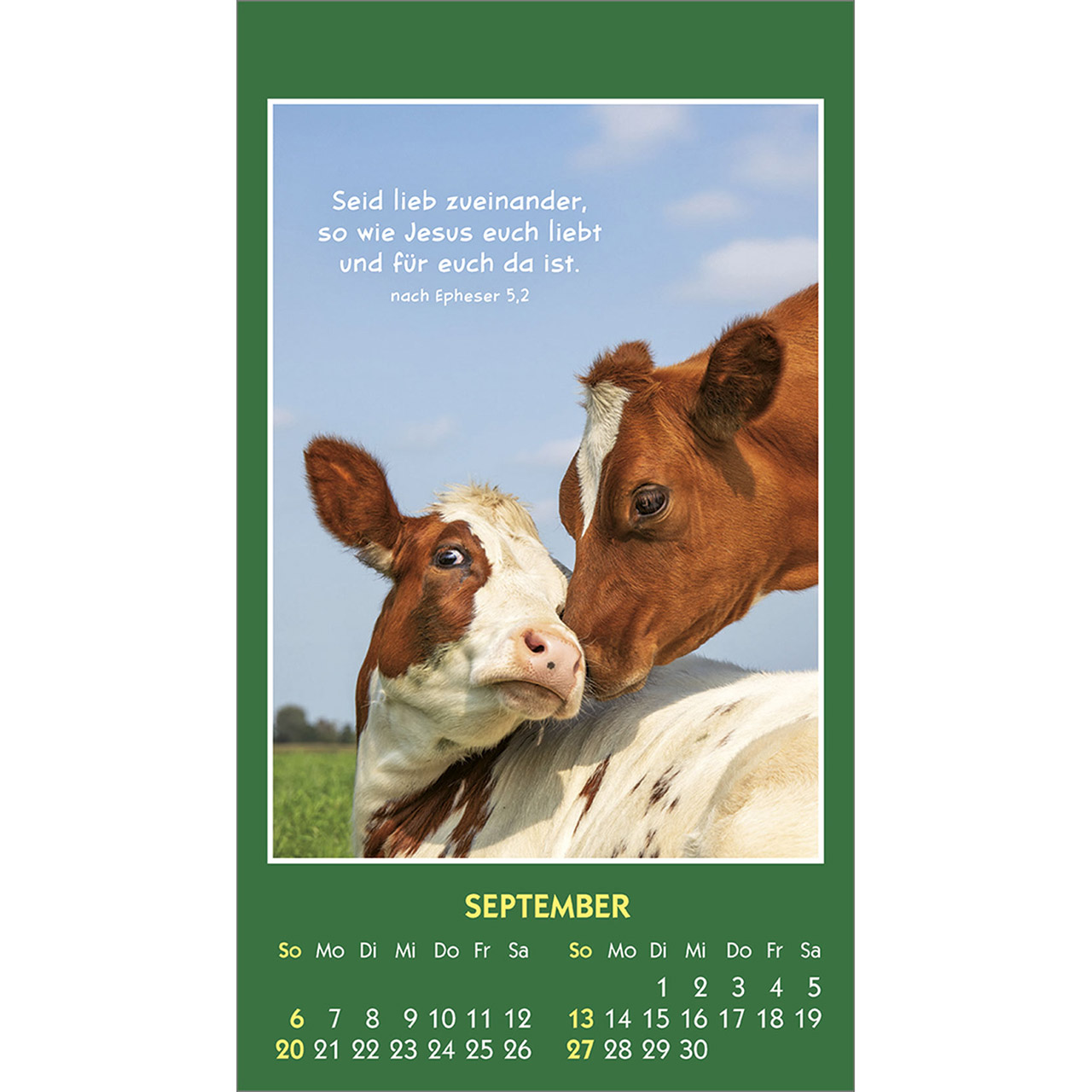 Aufkleberkalender - Hallo Du 2026 - Kaninchen Hase