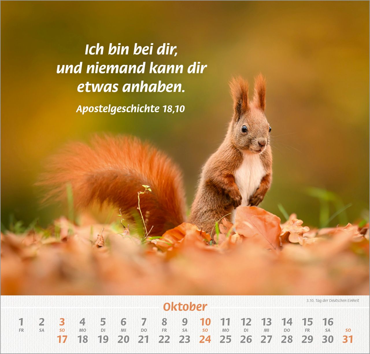 Wandkalender - Ich hab dich gern 2027 Wandkalender