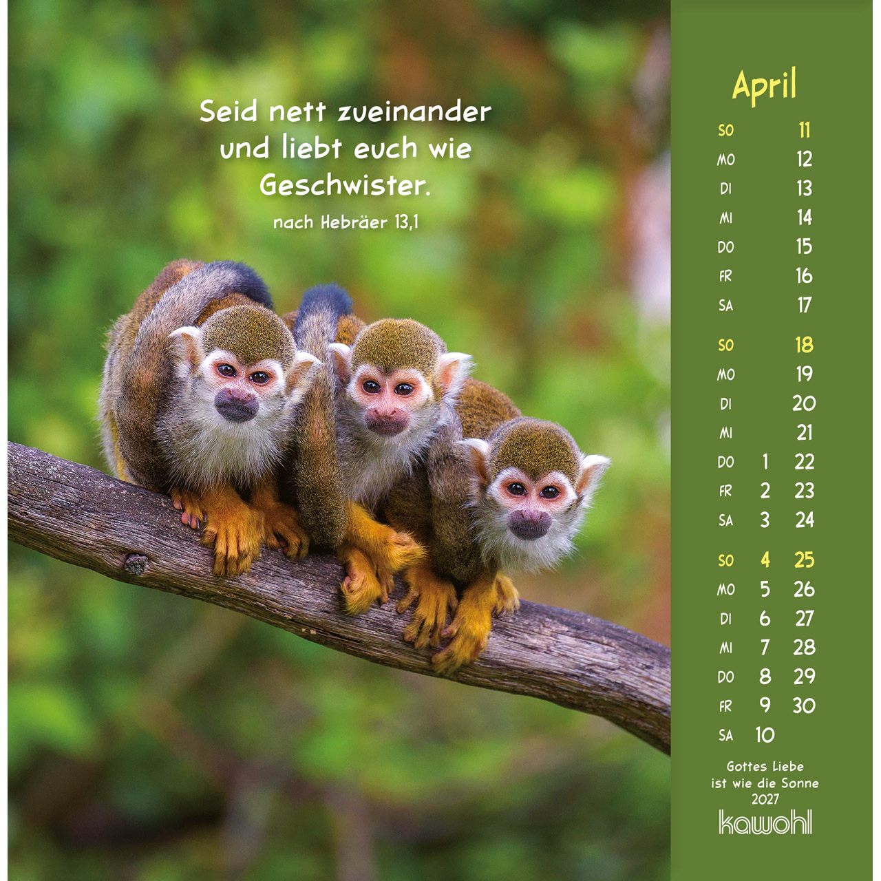Postkartenkalender - Gottes Liebe ist wie die Sonne 2027