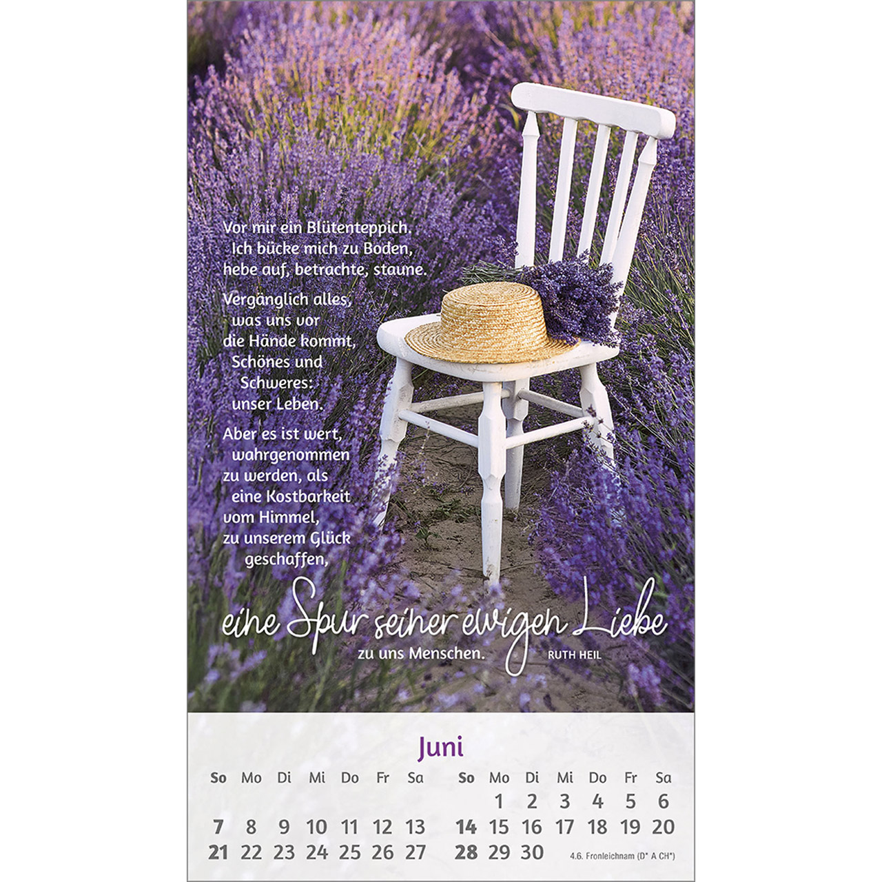 Postkartenkalender - Du bist mir so wertvoll 2026