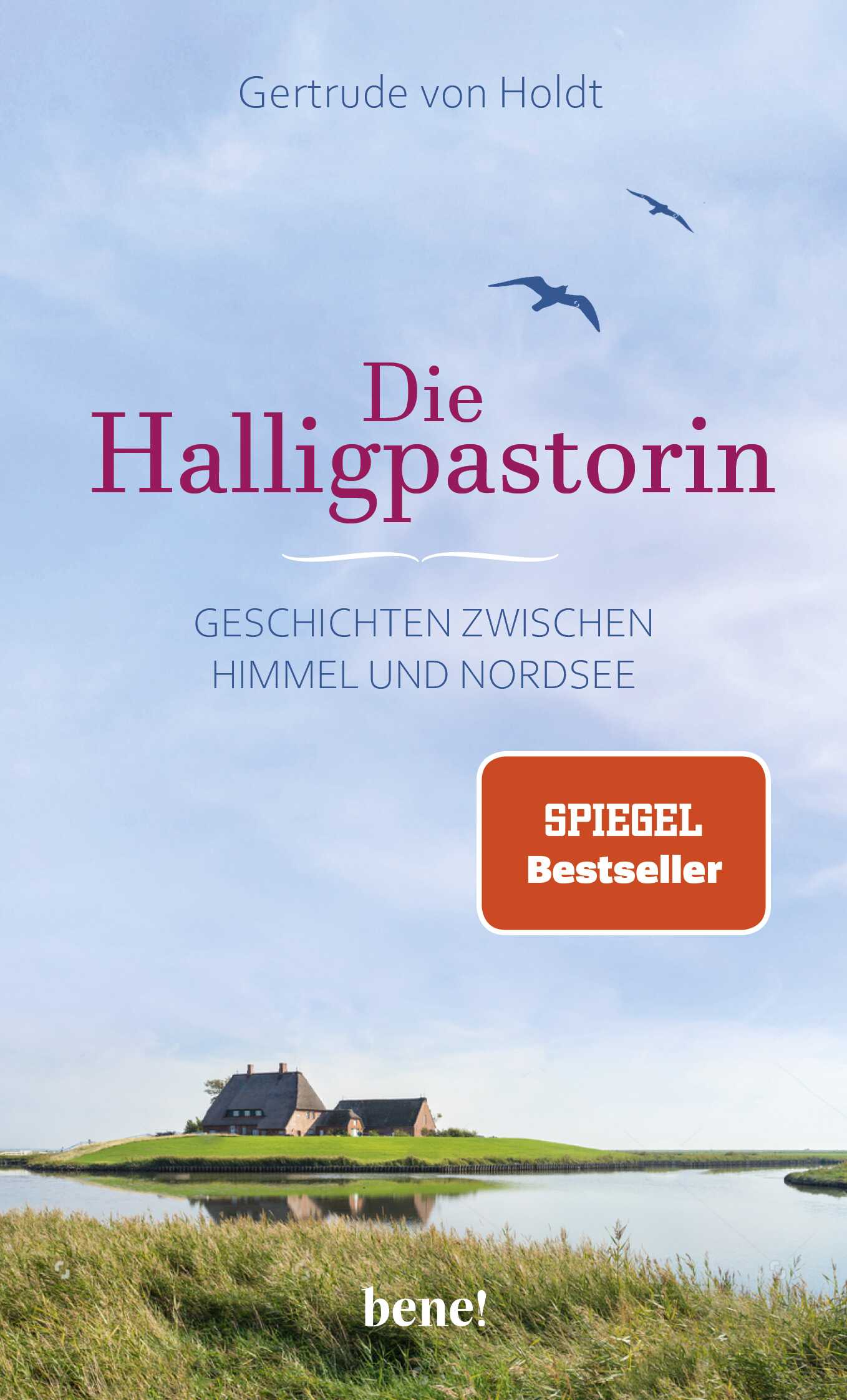 Die Halligpastorin Buch - Die Halligpastorin - Buch Haus Insel Möwen