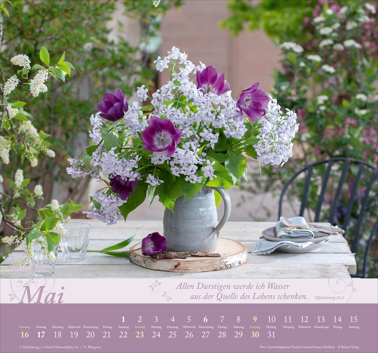 Wandkalender - Im Garten zuhause 2027 Wandkalender