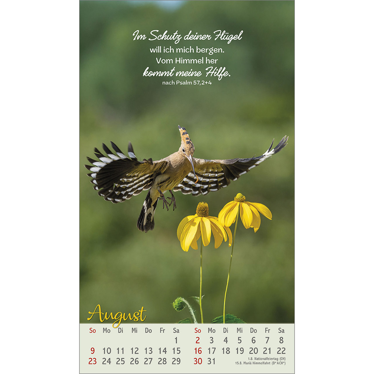 Postkartenkalender - Beflügelt und geborgen 2026