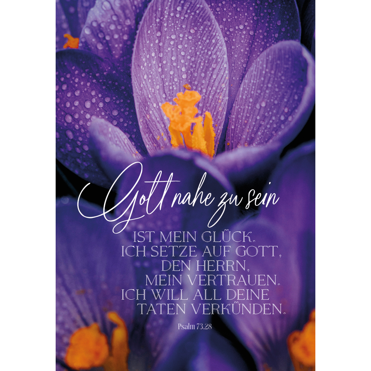 Karten-Box Papier - Gütig und treu - Leuchtturm Meer Strand Möve Vogel Sand Dünen