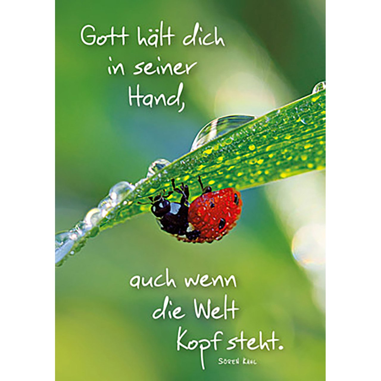 Gott hält dich