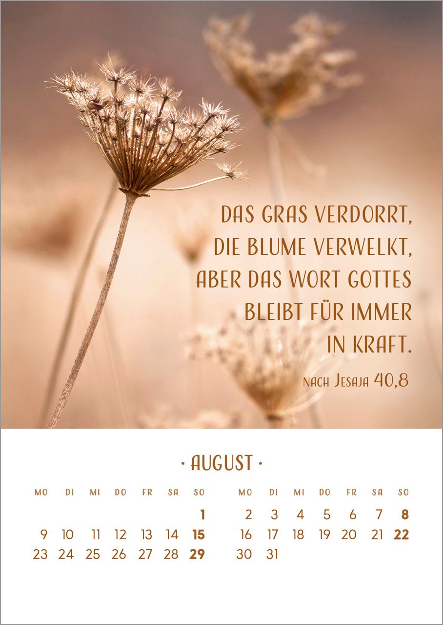 Tischkalender - Zarte Blumengrüße 2027