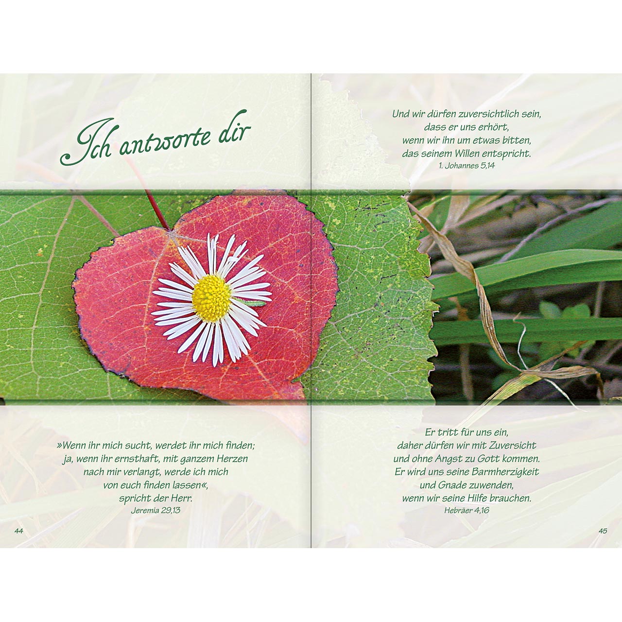 Geschenkbuch - Ich bin da, dir ganz nah - rosa Blumen