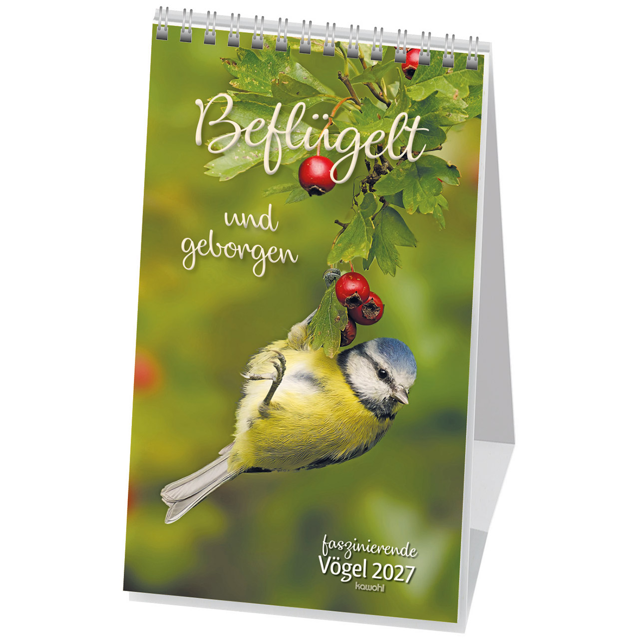 Notizblock - Über allen Hiobs Botschaften - Leuchtturm Felsen Meer